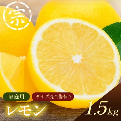 【宗方印】【数量限定】レモン 約1.5kg(家庭用) 【K003620K1.5】