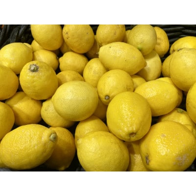 【宗方印】【数量限定】レモン 約1.5kg(家庭用) 【K003620K1.5】