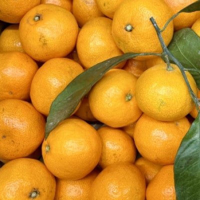 【宗方印】【数量限定】温州みかん 約3kg(家庭用)【K003650K3】