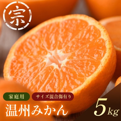 【宗方印】【数量限定】温州みかん 約5kg(家庭用)【K003650K5】