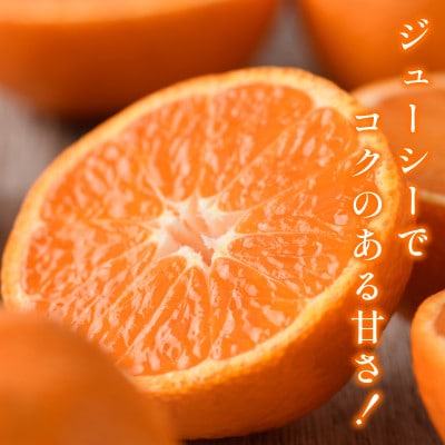 【宗方印】【数量限定】温州みかん 約5kg(家庭用)【K003650K5】