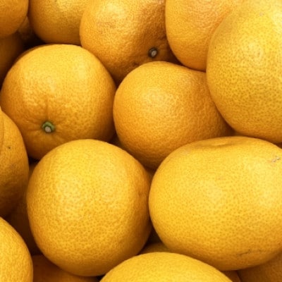 【宗方印】【数量限定】八朔 約3kg(家庭用) 【K003640K3】