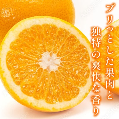 【宗方印】【数量限定】八朔 約3kg(家庭用) 【K003640K3】