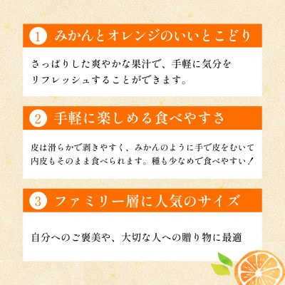 【宗方印】【数量限定】はれひめ 約3kg(家庭用) 【K003590K3】