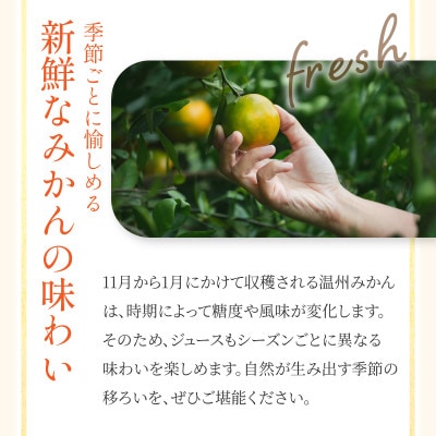 宗方印のみかんジュース 花みかん　720ml 3本