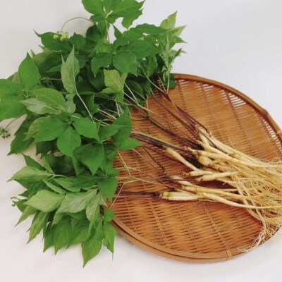 菊間高麗人参　約50g【VC01090】