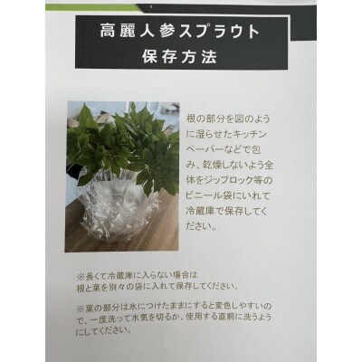 菊間高麗人参　約100g【VD00970】