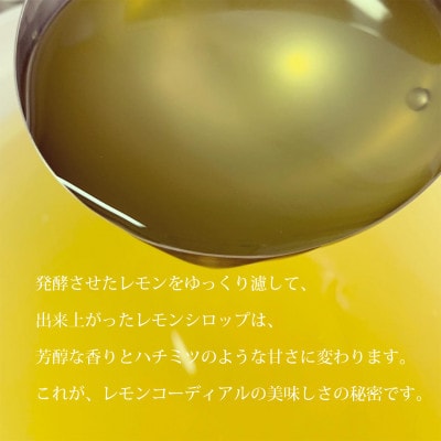 レモンコーディアル・ミニボトル5本セット