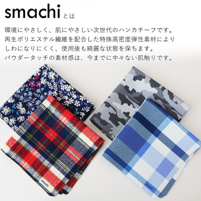 smachi(スマチ) ノンアイロンハンカチ メンズ 2枚 Aセット【VB01441】
