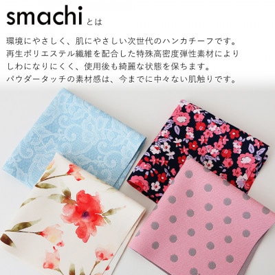 smachi(スマチ) ノンアイロンハンカチ レディース 2枚 Aセット【VB01451】