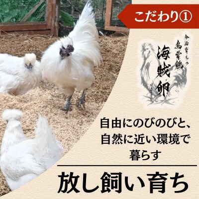 【愛媛産】海賊卵【烏骨鶏卵】12個[VB01500]