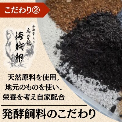 【愛媛産】海賊卵【烏骨鶏卵】12個[VB01500]