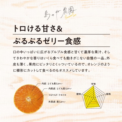 【先行受付】島のね農園 まどんな(4kg) 【K001630】