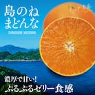 【島のね農園ブランド】先行受付 島のねまどんな(4kg) 【K001620】