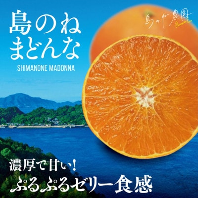 【島のね農園ブランド】先行受付 島のねまどんな(4kg) 【K001620】