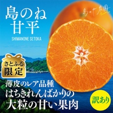 【さとふる限定】先行受付 島のね農園ブランド 甘平 3kg