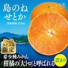 【さとふる限定】(訳あり)島のね農園ブランド せとか 3kg