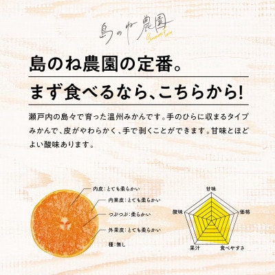 【さとふる限定】先行受付 島のね農園ブランド みかん 3kg