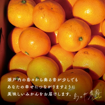 【さとふる限定】先行受付 島のね農園ブランド みかん 4kg