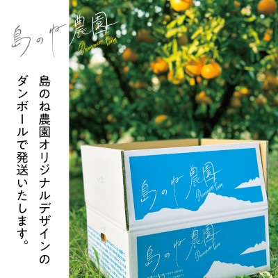 【さとふる限定】先行受付 島のね農園ブランド みかん 4kg