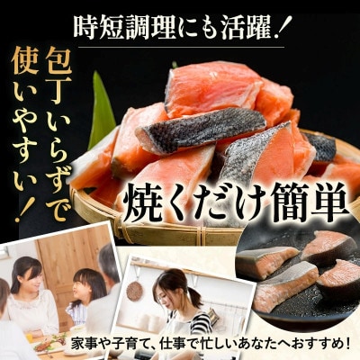 訳あり塩銀鮭切り身 600g(300g×2袋)【V003250P2】