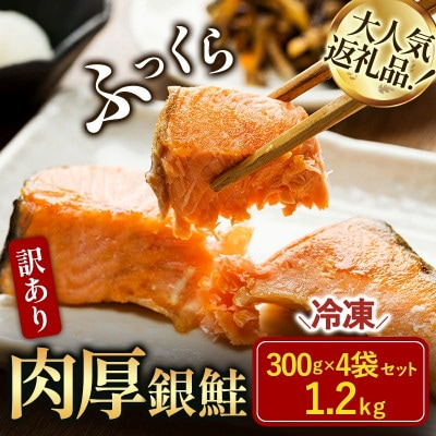 訳あり塩銀鮭切り身 1.2kg(300g×4袋)【V003250】