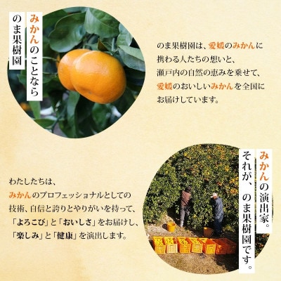 のま果樹園のしまなみみかんジュース 1L×6本【V003020LSET6】