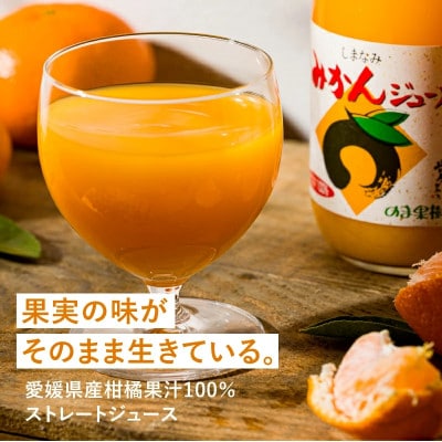 のま果樹園のしまなみみかんジュース 500ml/12本【V003020SET12】