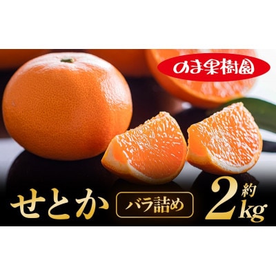 のま果樹園のせとか(2kg)[K003710K2]