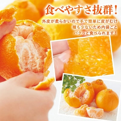 のま果樹園のデコタンゴール(1kg)[K003680K1]