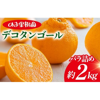 のま果樹園のデコタンゴール(2kg)[K003680K2] 
