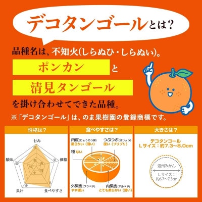 のま果樹園のデコタンゴール(5kg)[K003680K5]