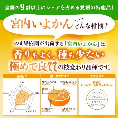 のま果樹園のいよかん(約1kg)バラ詰め