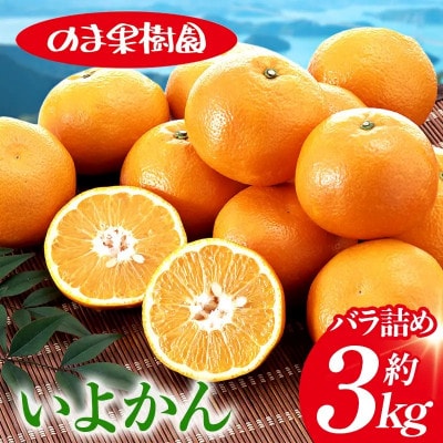 のま果樹園のいよかん(約3kg)バラ詰め