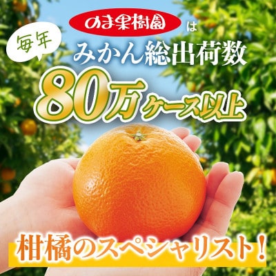 のま果樹園のいよかん(約3kg)バラ詰め
