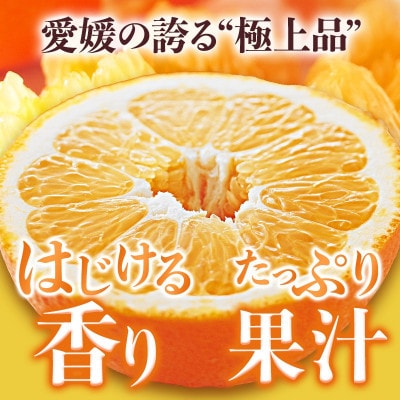 のま果樹園のいよかん(約3kg)バラ詰め