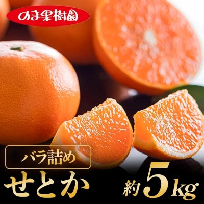 のま果樹園のせとか(約5kg)バラ詰め