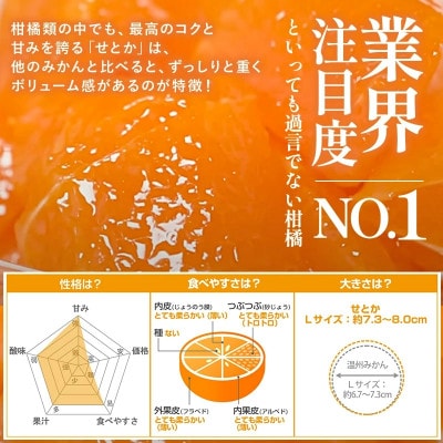 のま果樹園のせとか(約5kg)バラ詰め