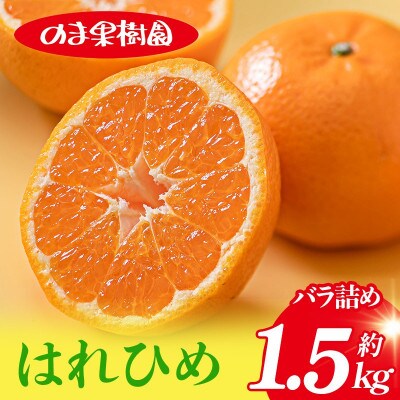 のま果樹園のはれひめ(約1.5kg)バラ詰め