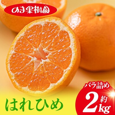 のま果樹園のはれひめ(約2kg)バラ詰め