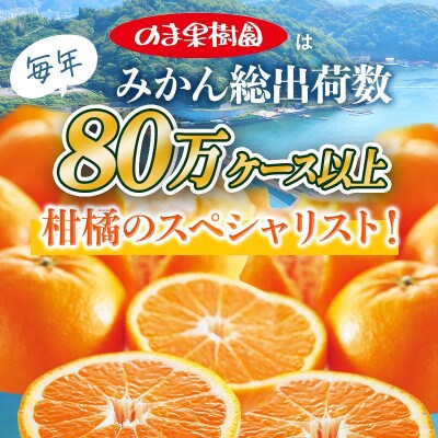 のま果樹園のはれひめ(約2kg)バラ詰め