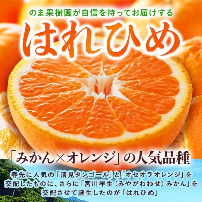 のま果樹園のはれひめ(約3kg)バラ詰め