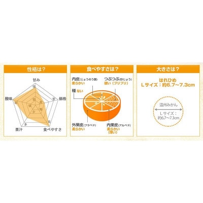 のま果樹園のはれひめ(約5kg)バラ詰め
