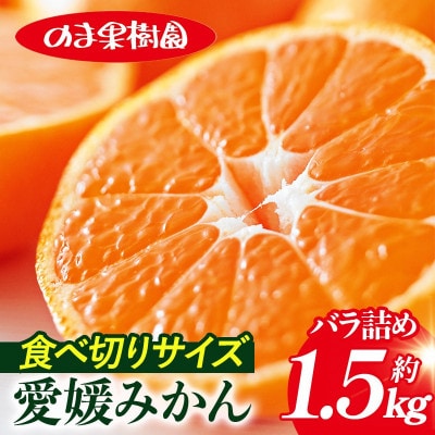 のま果樹園の愛媛みかん(約1.5kg)バラ詰め