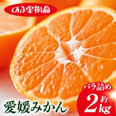 のま果樹園の愛媛みかん(約2kg)バラ詰め