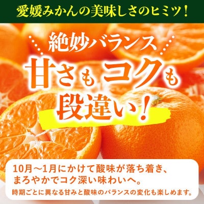のま果樹園の愛媛みかん(約2kg)バラ詰め