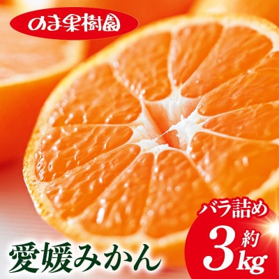 のま果樹園の愛媛みかん(約3kg)バラ詰め