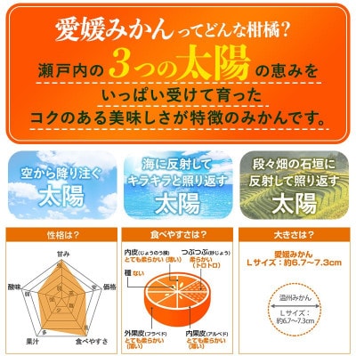 のま果樹園の愛媛みかん(約3kg)バラ詰め