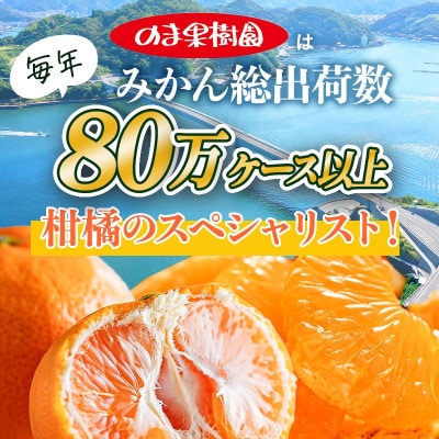 のま果樹園の愛媛みかん(約5kg)バラ詰め