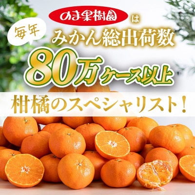 のま果樹園の甘平(約2kg)バラ詰め